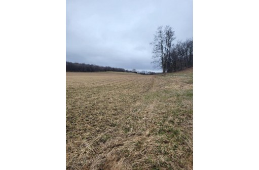 LOT 2 Tower Line Road, Marshall, WI 53559