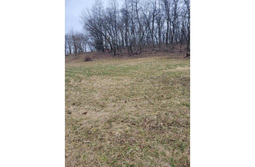 LOT 2 Tower Line Road, Marshall, WI 53559