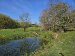 38.62 +/- ACRES Fern Road