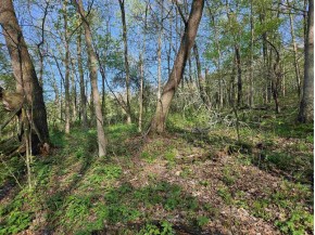 38.62 +/- ACRES Fern Road