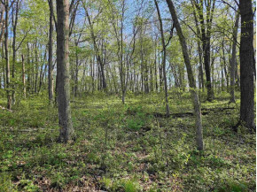 38.62 +/- ACRES Fern Road