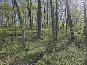 38.62 +/- ACRES Fern Road