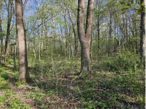 38.62 +/- ACRES Fern Road