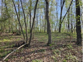 38.62 +/- ACRES Fern Road