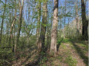 38.62 +/- ACRES Fern Road