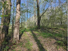 38.62 +/- ACRES Fern Road