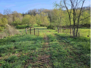 38.62 +/- ACRES Fern Road