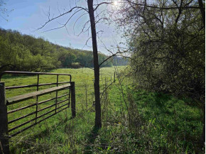 38.62 +/- ACRES Fern Road