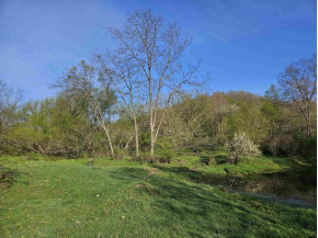 38.62 +/- ACRES Fern Road