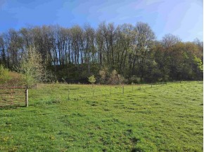 38.62 +/- ACRES Fern Road