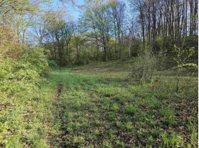 38.62 +/- ACRES Fern Road