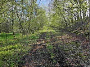 38.62 +/- ACRES Fern Road