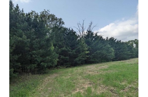 31.27AC County Road E, Westfield, WI 53964