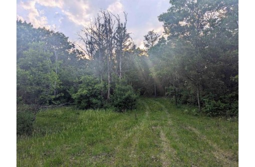 950 W Trout Valley Road, Hancock, WI 54943