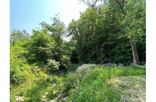 16.27 AC County Road P, Westby, WI 54667