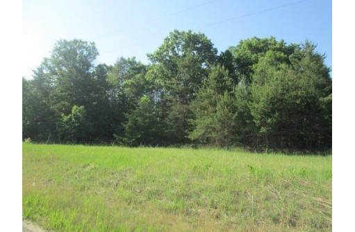 36 ACRES County Road Hh, Lyndon Station, WI 53944