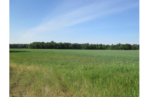 36 ACRES County Road Hh, Lyndon Station, WI 53944