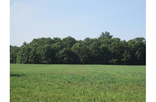 36 ACRES County Road Hh, Lyndon Station, WI 53944