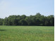 36 ACRES County Road Hh Lyndon Station, WI 53944