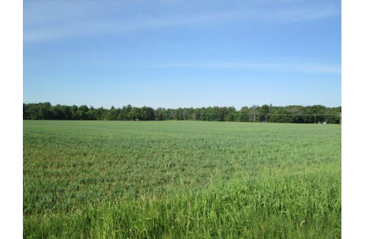 36 ACRES County Road Hh, Lyndon Station, WI 53944