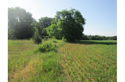 36 ACRES County Road Hh, Lyndon Station, WI 53944