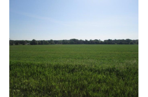 36 ACRES County Road Hh, Lyndon Station, WI 53944