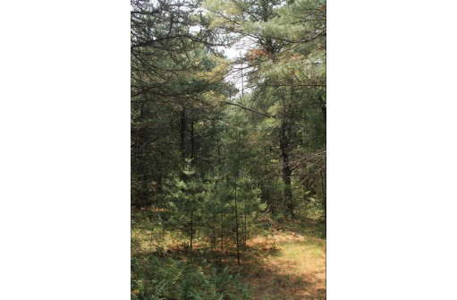 LOT 7 Dahlke Drive, Westfield, WI 53964-0000