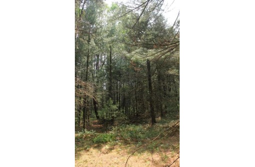 LOT 7 Dahlke Drive, Westfield, WI 53964-0000