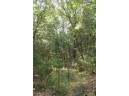 LOT 7 Dahlke Drive, Westfield, WI 53964-0000