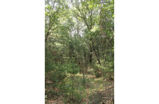 LOT 7 Dahlke Drive, Westfield, WI 53964-0000