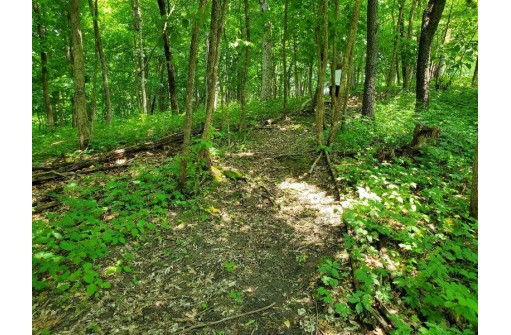 2.29 AC Desoto Bluffs Road, De Soto, WI 54624