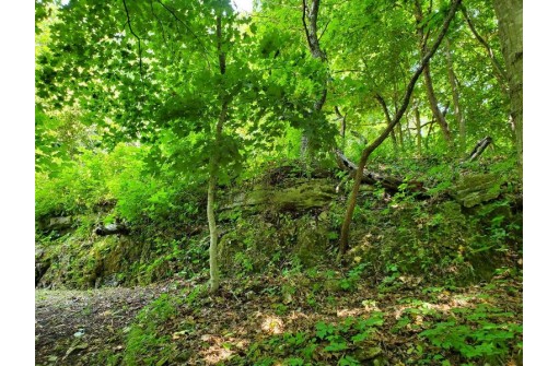 2.29 AC Desoto Bluffs Road, De Soto, WI 54624