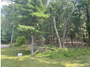 .18AC Canyon Road, Wisconsin Dells, WI 53965