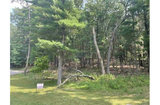 .18AC Canyon Road, Wisconsin Dells, WI 53965