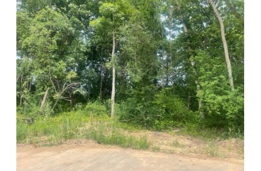 LOT 279 Championship Circle, Waunakee, WI 53597