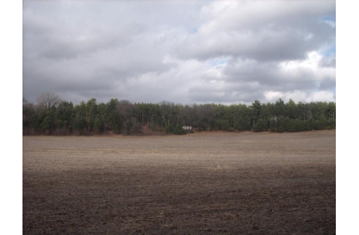 101.71AC Dakota Avenue, Westfield, WI 53964