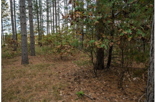 LOT 184 32nd Street, New Lisbon, WI 53950