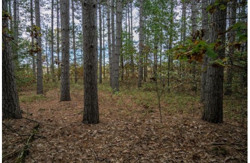 LOT 184 32nd Street, New Lisbon, WI 53950