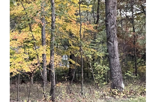 LOT 11 Of Half Moon Bay, New Lisbon, WI 53950