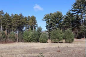 LOT 38 Red Pine Road