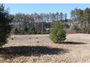 LOT 38 Red Pine Road, Baraboo, WI 53913