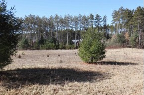 LOT 38 Red Pine Road