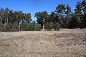 LOT 38 Red Pine Road