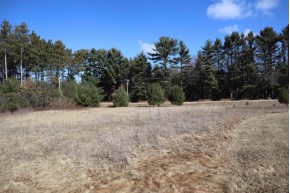 LOT 38 Red Pine Road