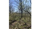 5.49 ACRES County Road Ii, Highland, WI 53543