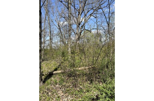 5.49 ACRES County Road Ii, Highland, WI 53543