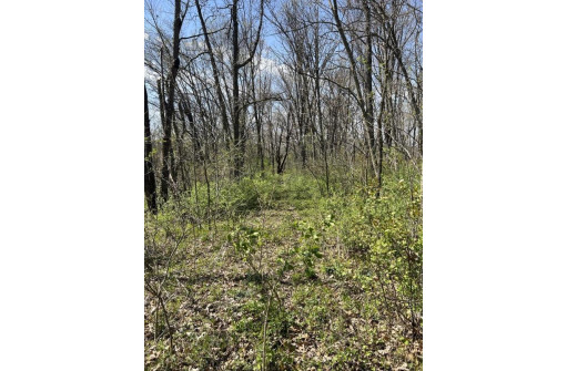 5.49 ACRES County Road Ii, Highland, WI 53543