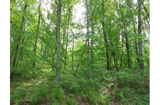 LOT 1 Fish Court, Oxford, WI 53952