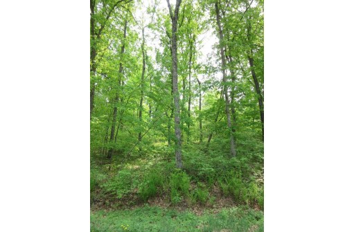 LOT 1 Fish Court, Oxford, WI 53952