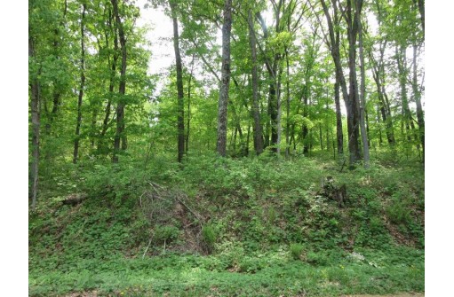 LOT 1 Fish Court, Oxford, WI 53952